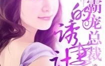 总裁霸宠30日情人,30日情缘的甜蜜纠葛