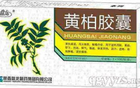黄柏胶囊,传统中药的现代守护神