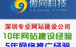 龙岗网站制作公司,龙岗地区专业网站定制与优化服务解析