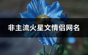 爱情非主流网名,独特韵味，尽显个性风采