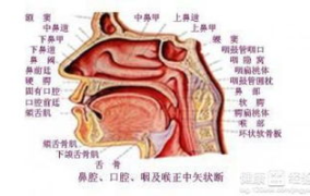 鼻咽癌三期,深入解析疾病进展与治疗策略