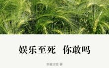 娱乐至死 mobi,揭秘现代社会的娱乐化危机