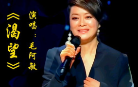 毛阿敏经典15首歌曲,传唱岁月，唤醒回忆